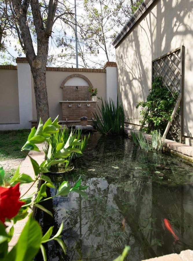 Villa Luce Assisi Rooms & Suites Bagian luar foto